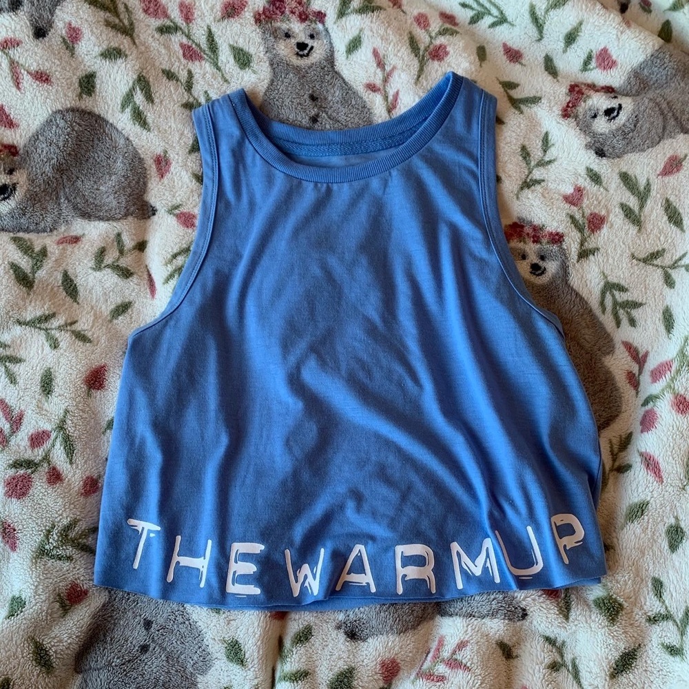 Blue crop top